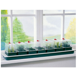 Buy A Super Windowsill Propagator Online In Ireland At Lenehans Ie