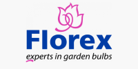 Florex