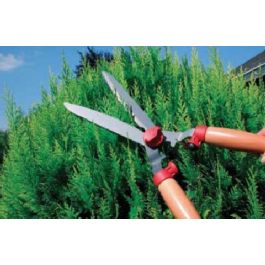 Buy A Wolf Garten Hedge Shears Online In Ireland At Lenehans Ie Your Hedge Shears Diy Products