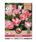 Florex Tulip Pink Romance Mix 11/12 - 20 pieces 