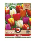 Florex Tulip Triumph Mix - 25 pieces 