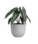 Havana Horizon Pot 40cm - Limestone