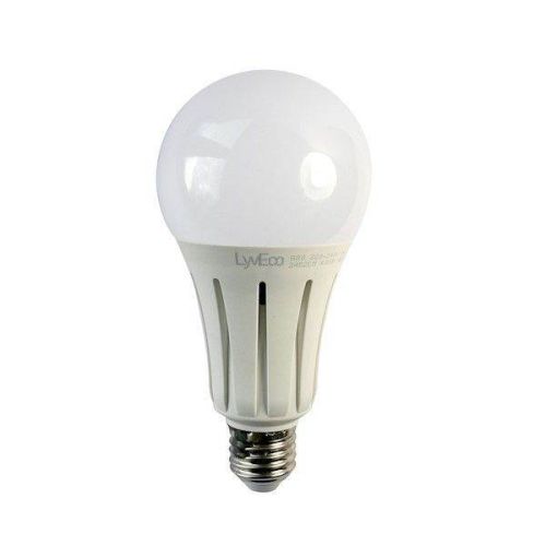 Buy a Lyveco ES 24 Watt LED 240V A80 Cool White Light Bulb Online