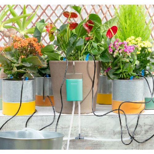 Buy a Automatic Drip Watering System for Plant Pots Rego Online in Ireland  at  Your watering system for plant pots & DIY Products Expert