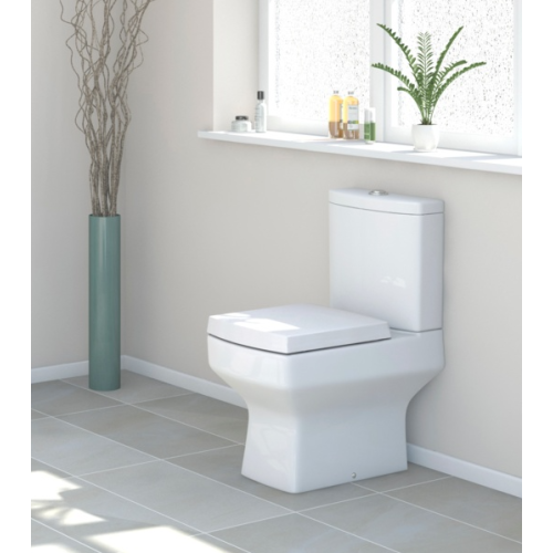 Order toilet seat best sale online