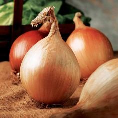 Suttons Seeds - Onions - Ailsa Craig
