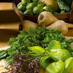 Suttons Seeds - Leaf Salad - Winter Mix