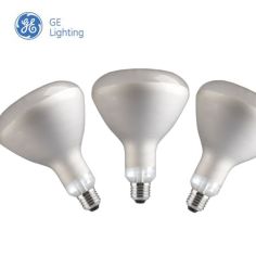 GE Screw Cap E27 Infrared Light Bulbs
