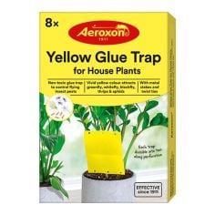 Aeroxon Yellow Glue Trap For House Plants - Pack of 8
