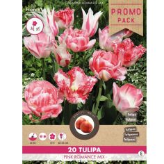 Florex Tulip Pink Romance Mix 11/12 - 20 pieces 