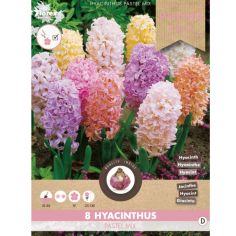 Hyacinth Pastel Mix 14/15 - Pack of 8