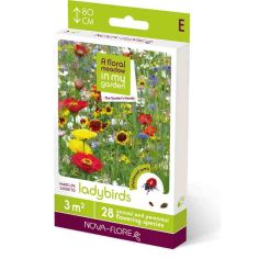 A Floral Meadow Ladybirds 28 Annual Flowering Species - 3m2