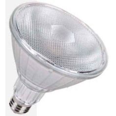 LED PAR38 Lamp15W