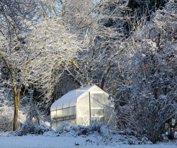 Keeping Your Greenhouse Warm During Cold Weather 