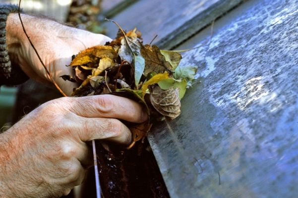 Clear Gutters & Roofs